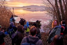 Vydejte se na ornitologickou vycházku na Novomlýnské nádrže